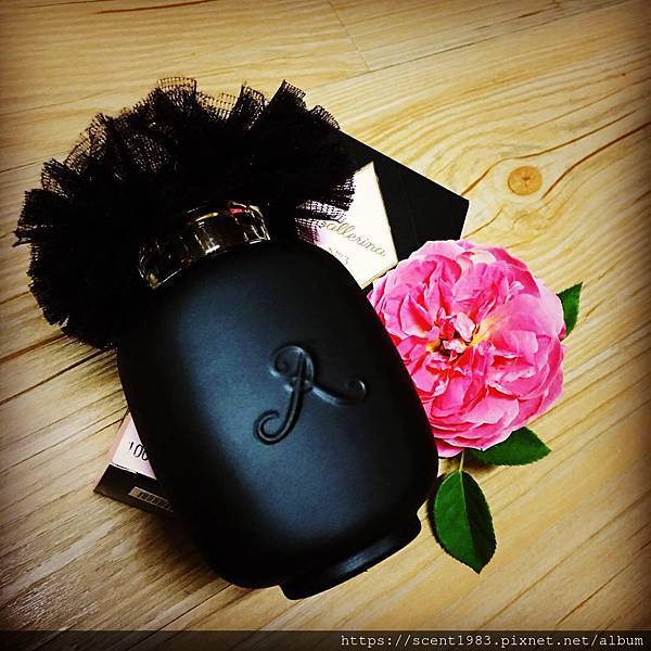 44977557_2221444264534373_7845836112172941312_o