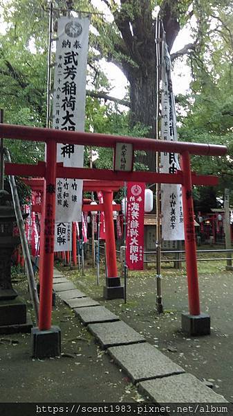 【日本開箱】東京自助旅行，文青和老物控都愛的大江戶百年骨董市