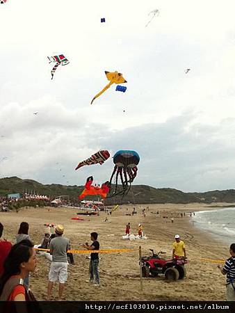 大型風箏1.jpg