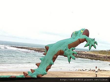 鱷魚風箏2.jpg