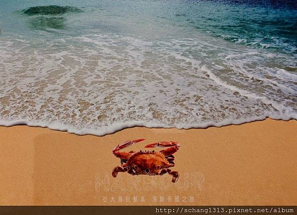 DSC02172.jpg DSC02172.jpg