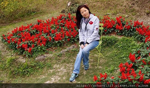 DSC07305.jpg