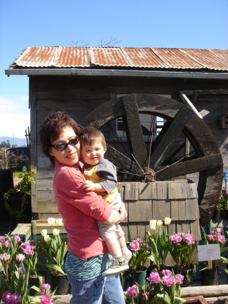 tulip 028.jpg