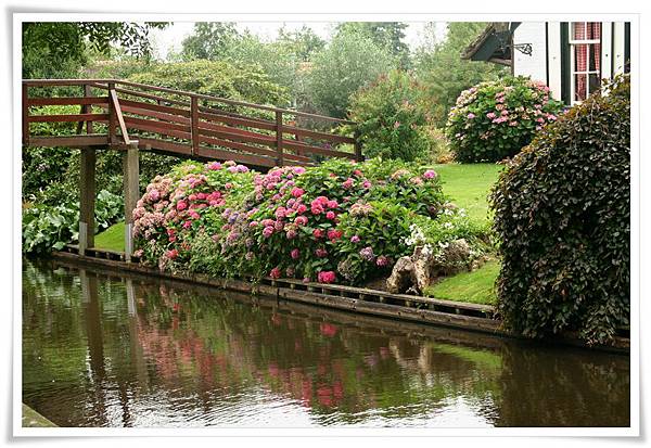 Hortensia_Giethoorn