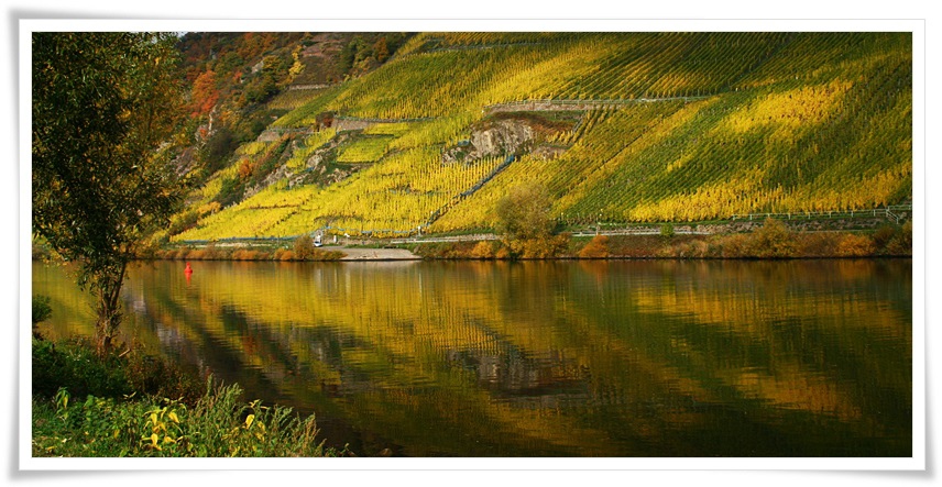 Mosel_2015