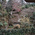 09-北鎌倉明月院.JPG