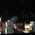 房間窗外夜景-07.JPG