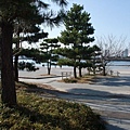 12-台場海濱公園.JPG