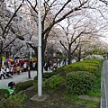 Day3-106 隅田公園很不錯.JPG