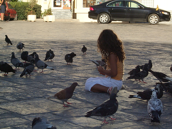 小女孩與鴿子