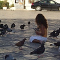 小女孩與鴿子