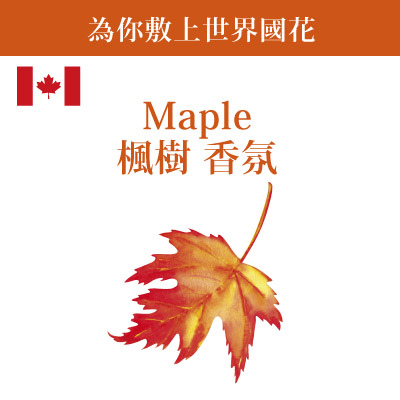 ScienAQUA科水 加拿大美白三部曲面膜~為你敷上世界國花 加拿大Maple楓樹