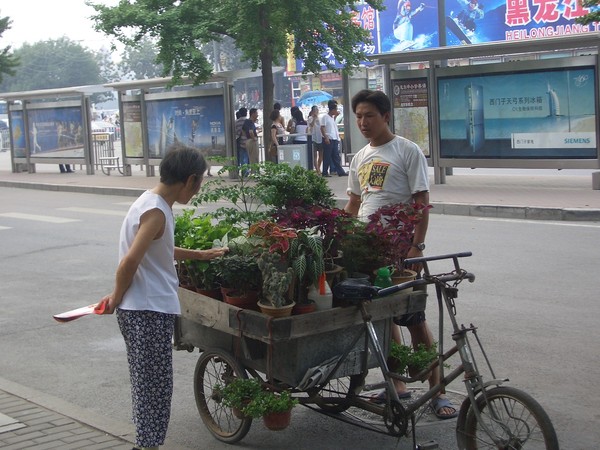 北京街頭 花販