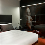 Park Plaza Hotels-small.png