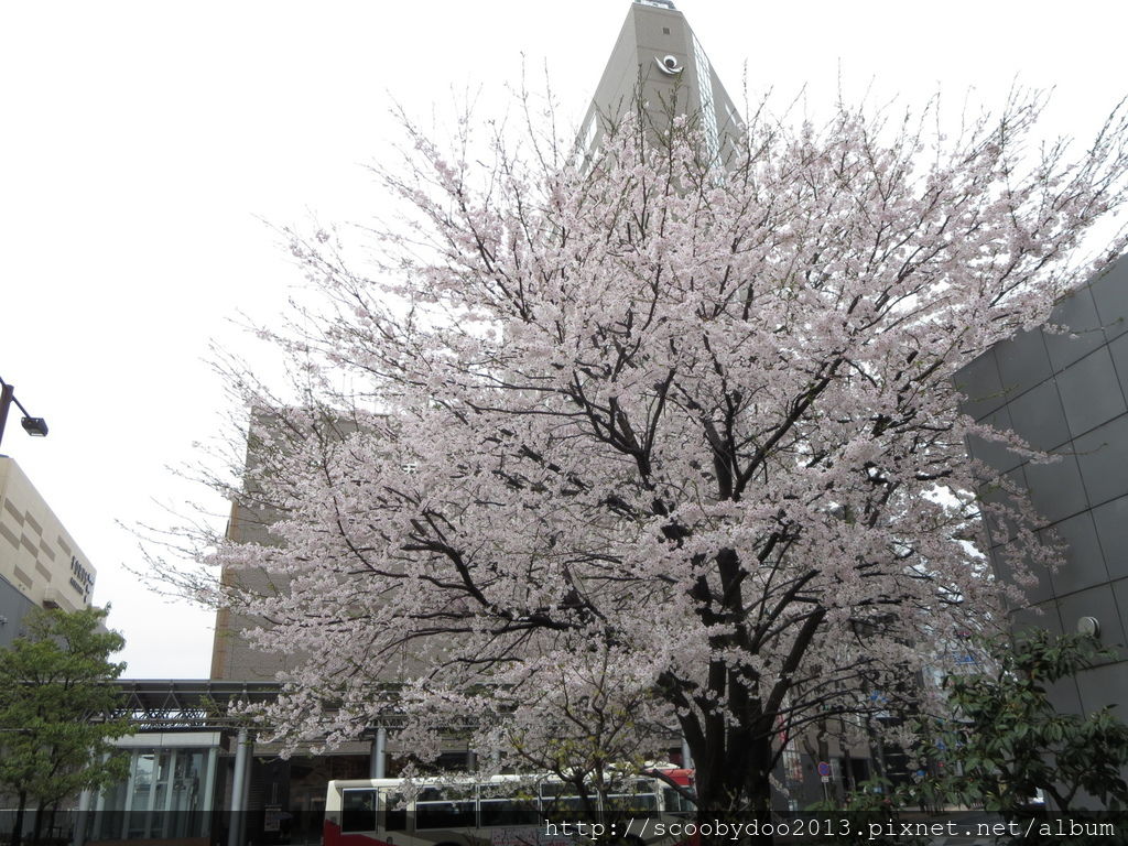 Kanazawa Station (1).JPG