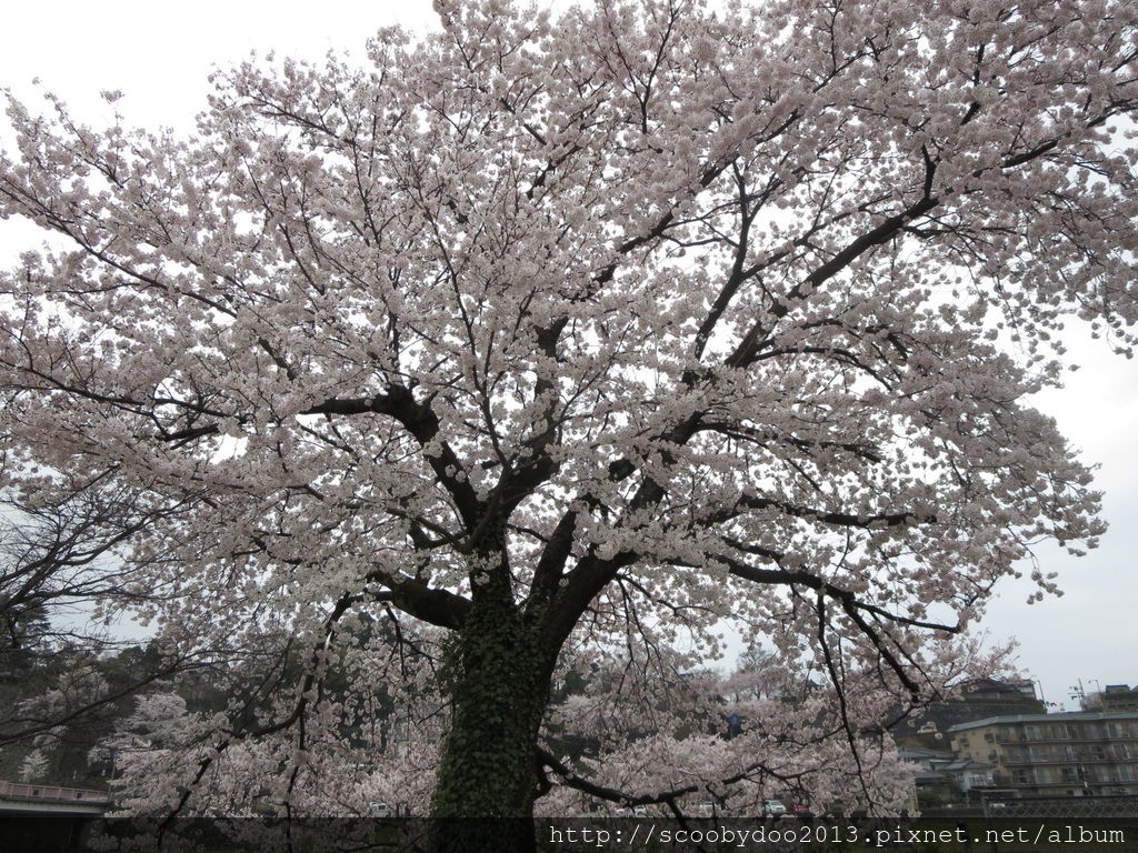 Muro Saisei Bungakuhi (2).JPG