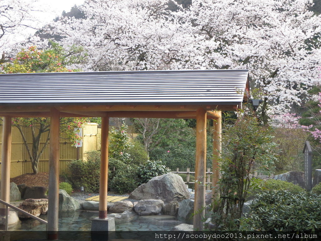 Shikisai Onsen (168).JPG