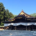 20151025 Yahiko Temple_find-travel.jp.jpg