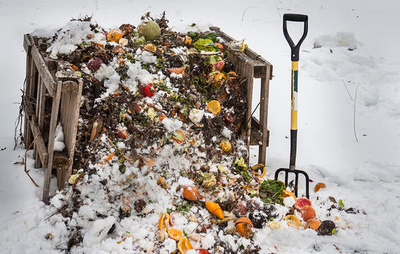 wintercompost_1000.jpg