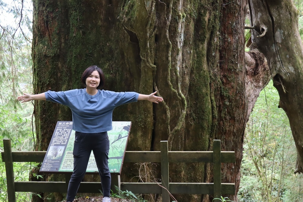 蠍家族旅遊-棲蘭神木園-2024-04-21