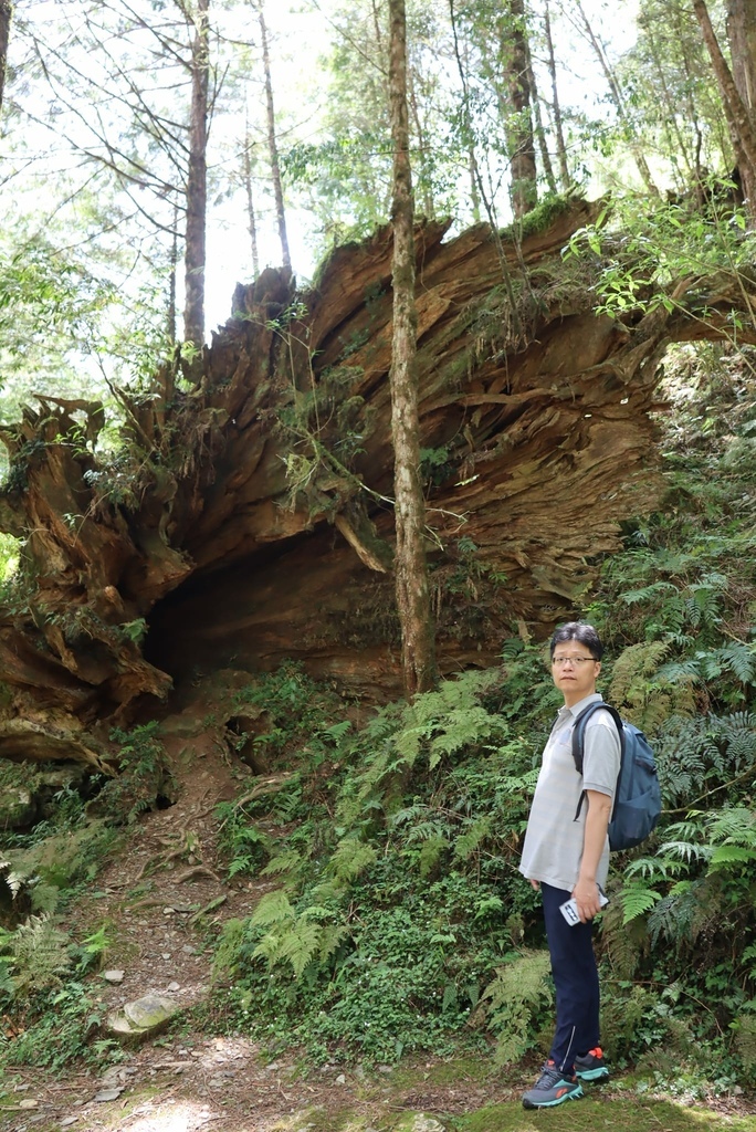 蠍家族旅遊-棲蘭神木園-2024-04-21