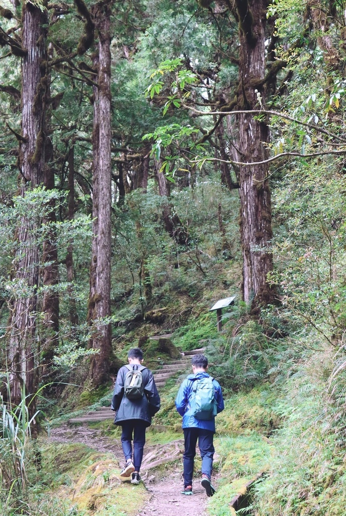 蠍家族旅遊-太平山莊、翠峰湖、望洋山-2024-04-22