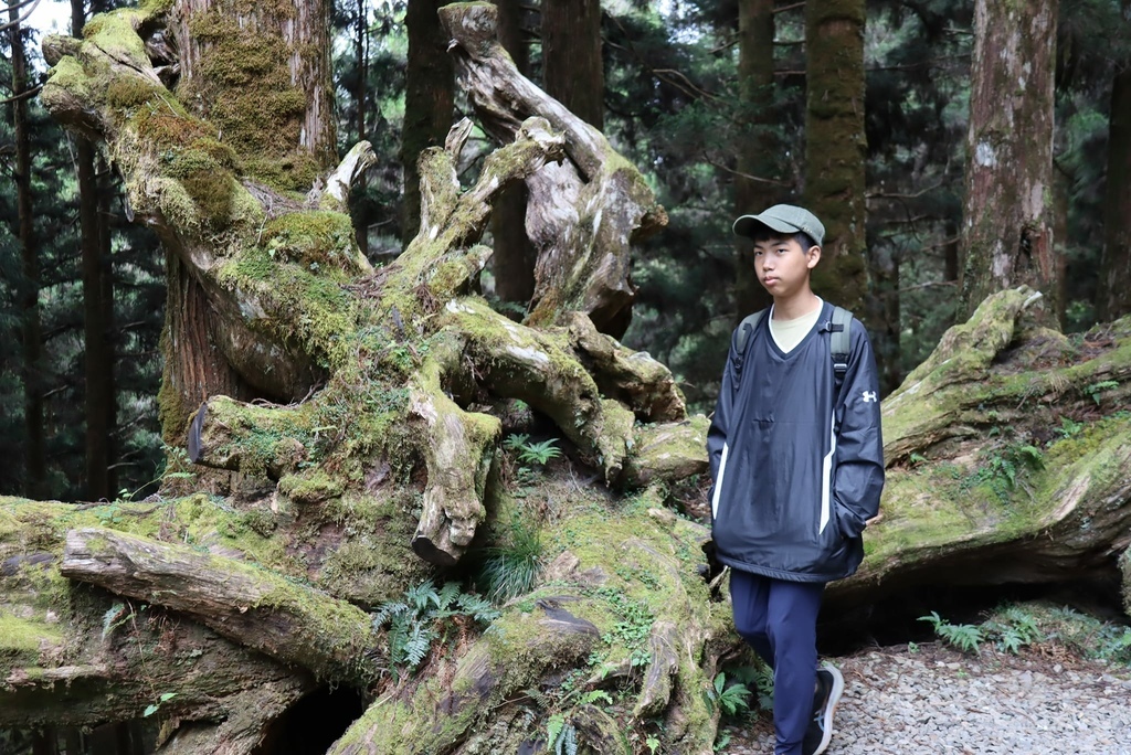 蠍家族旅遊-太平山莊、翠峰湖、望洋山-2024-04-22