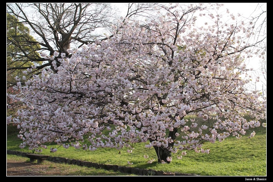 蠍家族旅遊-日本九州自由行-福岡市區、太宰府