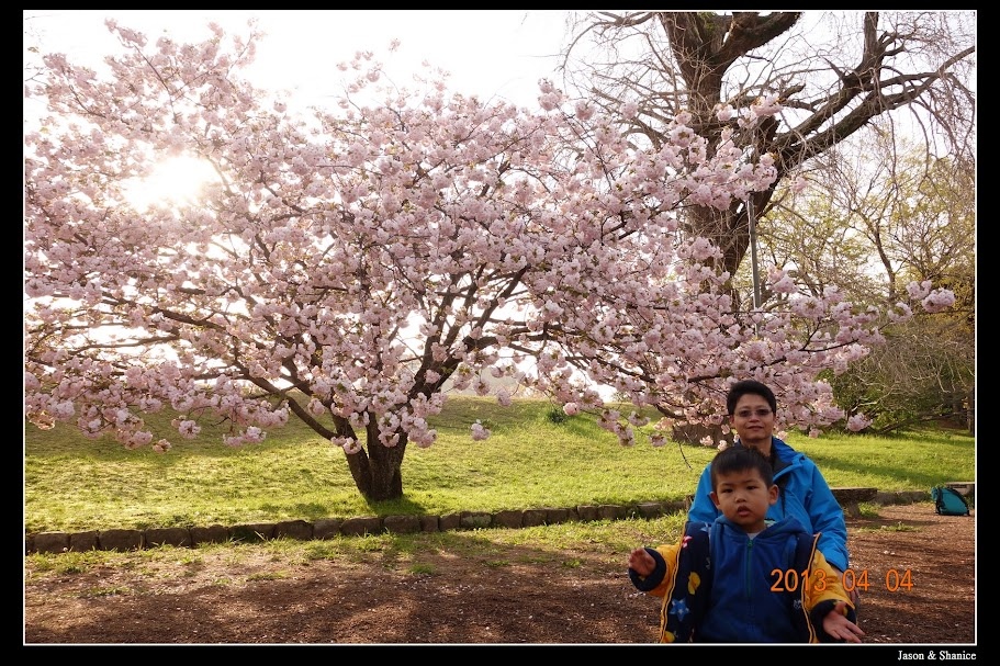 蠍家族旅遊-日本九州自由行-福岡市區、太宰府