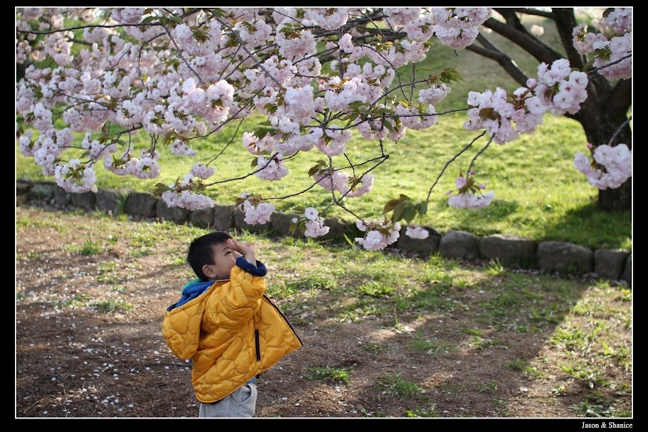 蠍家族旅遊-日本九州自由行-福岡市區、太宰府