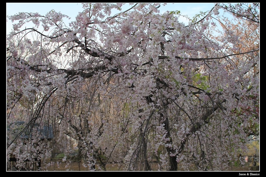 蠍家族旅遊-日本九州自由行-福岡市區、太宰府