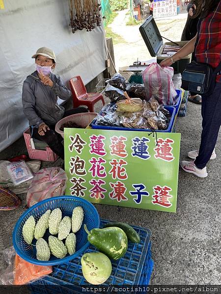 金山小鶴蓮花田 (8).JPG