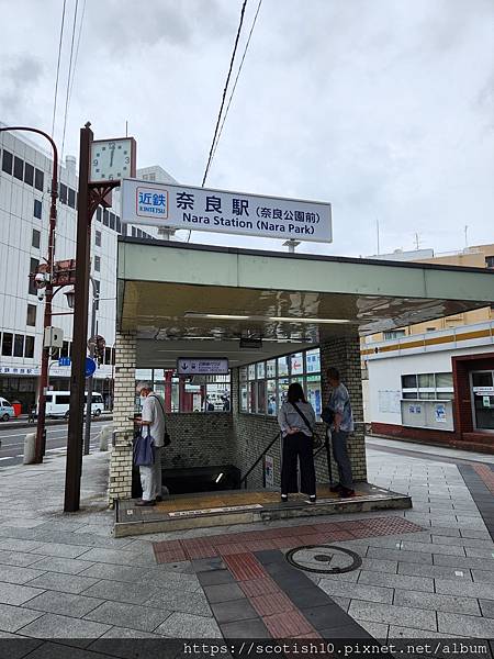 奈良梅花鹿公園 (2).jpg