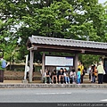 奈良梅花鹿公園 (29).jpg