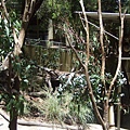20090105 後山動物園 (38).JPG