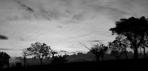 DSCF1324.JPG DSCF1324.JPG