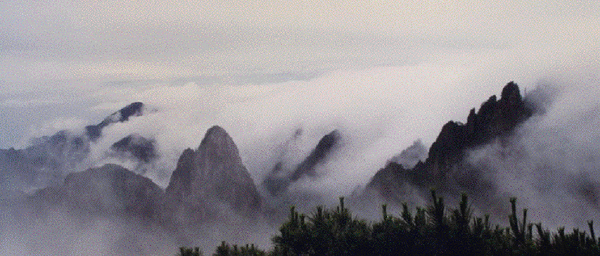 黃山16.gif 黃山16.gif