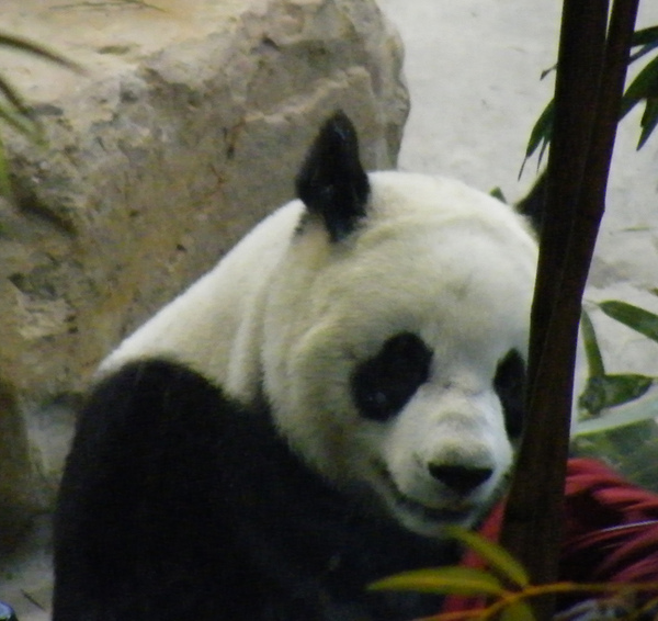 DSCF3207 拷貝.JPG DSCF3207 拷貝.JPG