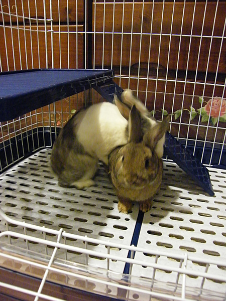 DSCF7815.JPG DSCF7815.JPG
