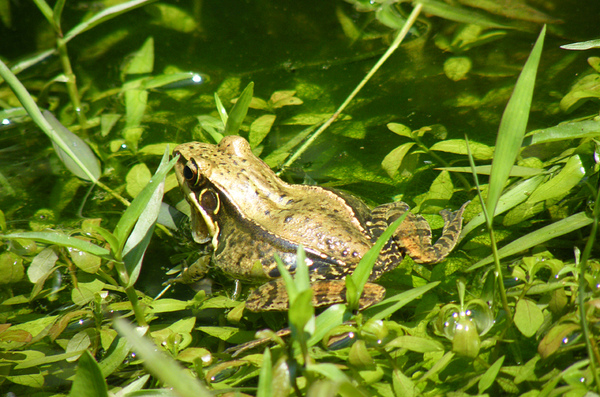 DSCF8316.JPG DSCF8316.JPG