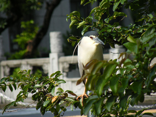 DSCF9191.JPG DSCF9191.JPG