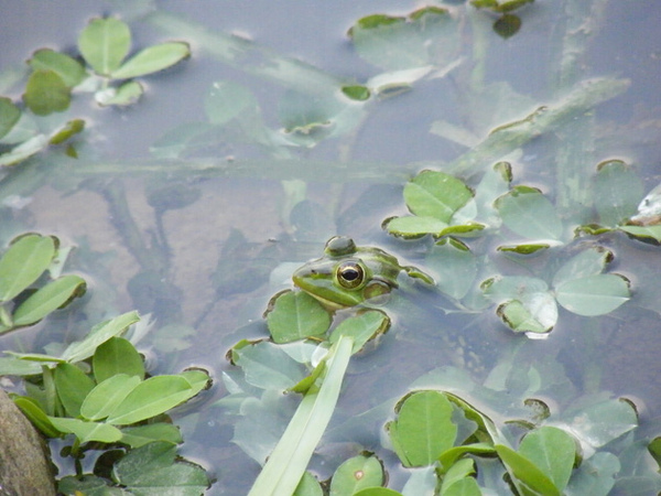 DSCF2707 拷貝.JPG DSCF2707 拷貝.JPG