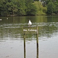 NO FISHING.JPG