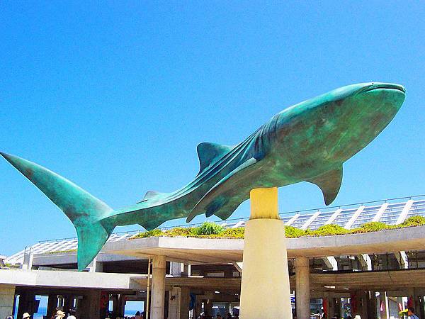 招牌鯨鯊雕塑