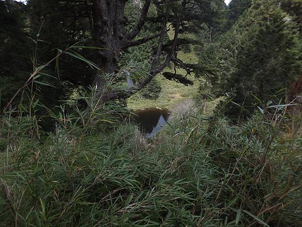 DSCF0947 平安池.JPG