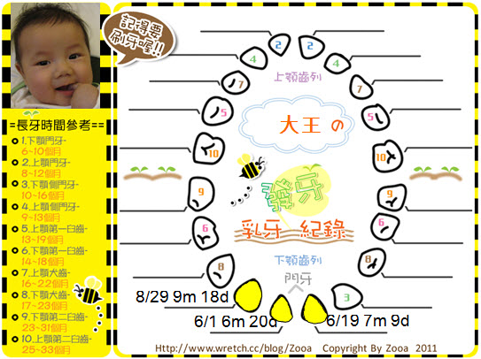 3.0829(9m18d)下顎側門牙.jpg