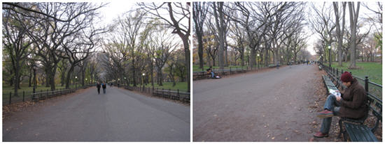 中央公園7.jpg