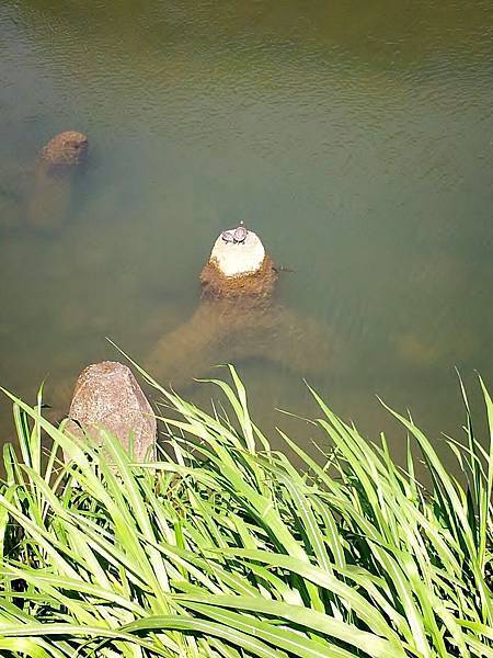 04看不見的距離.jpg 04看不見的距離.jpg