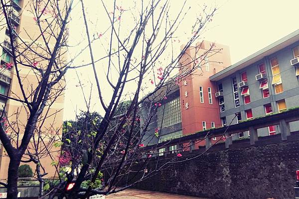 06初見.jpg 06初見.jpg