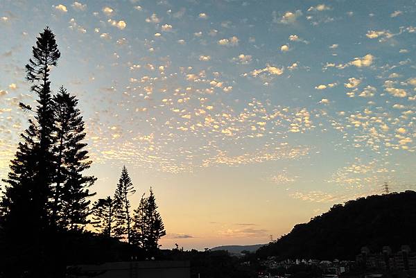 01杉與金色羊.jpg 01杉與金色羊.jpg